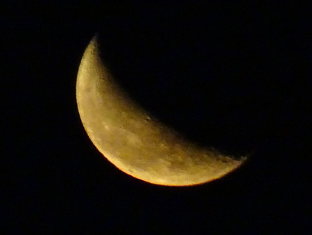 DSC09750