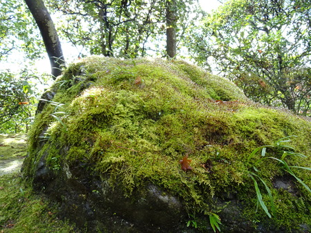 DSC01230