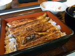 RIMG0648