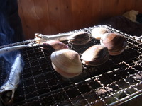 RIMG0654