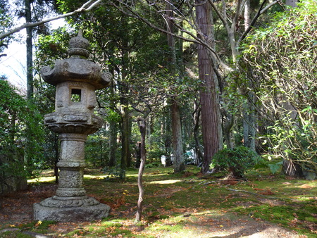 DSC01231