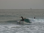 RIMG0626