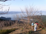 RIMG0586