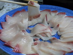 RIMG0556