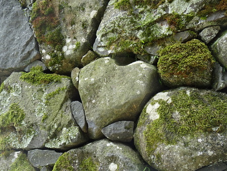 DSC00506