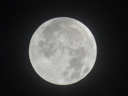 DSC00016