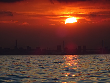 DSC00785