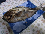 RIMG0592