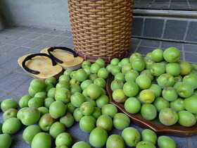 DSC03750