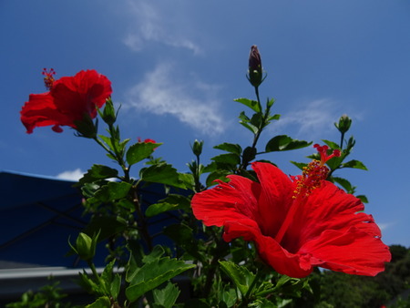 DSC09838