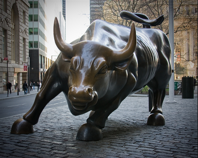 bull