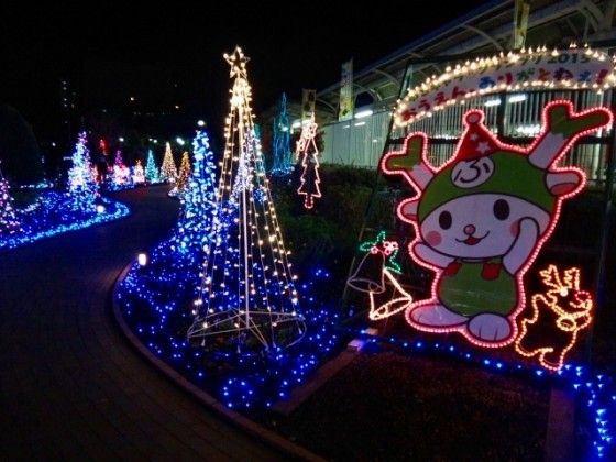 DSC_1206-560x420