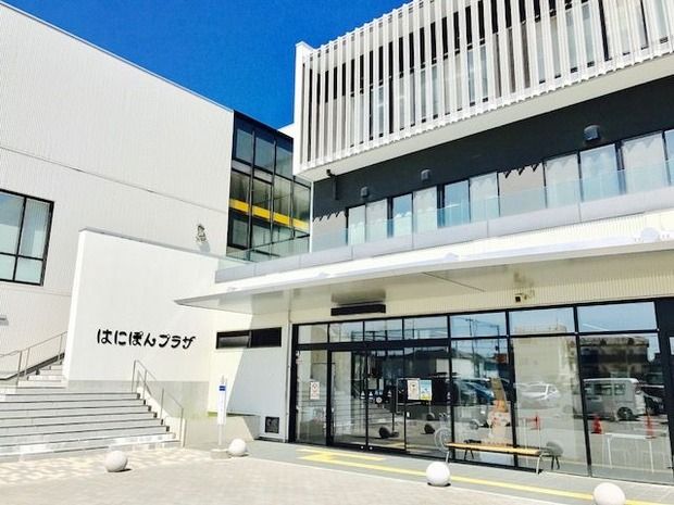 hanipon