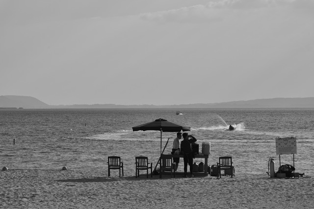 SDIM5417bw