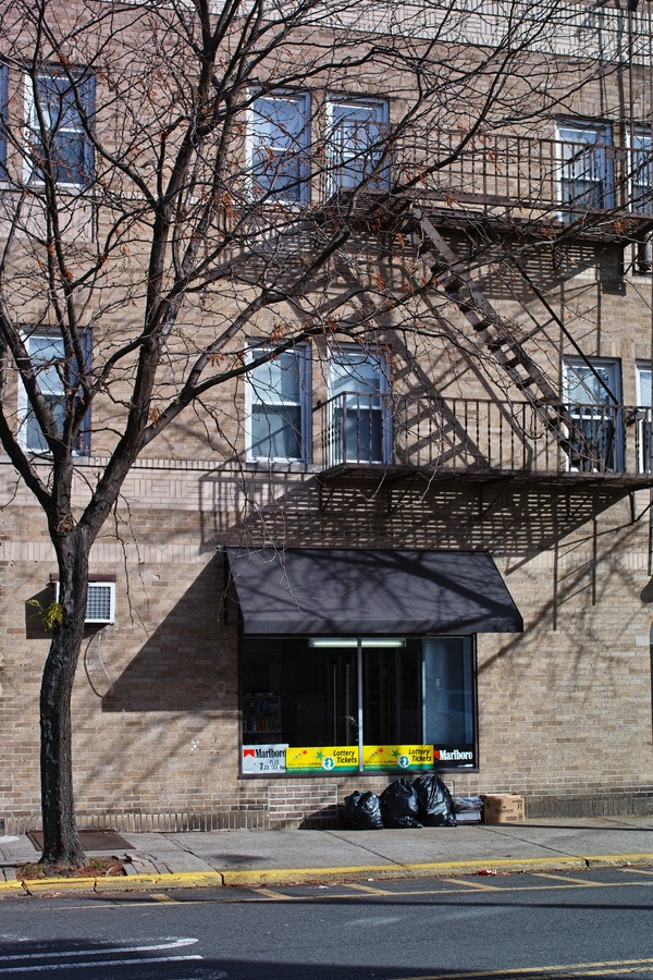 SDIM1133
