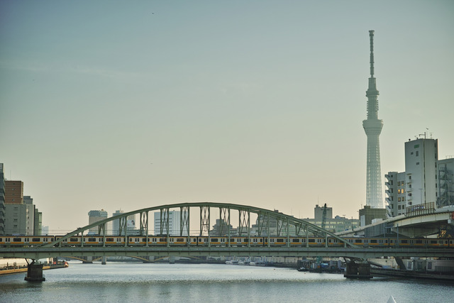DP3Q0533