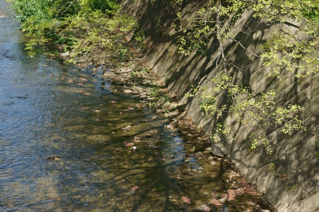 DSC00257