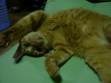 hima