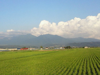 美瑛青空と田園