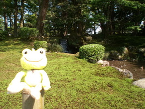 ぴょんぽかぽか