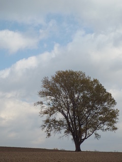 DSCF2893