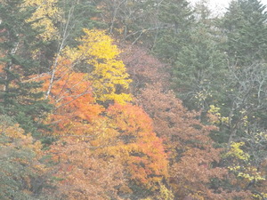 img_387698_11463503_2