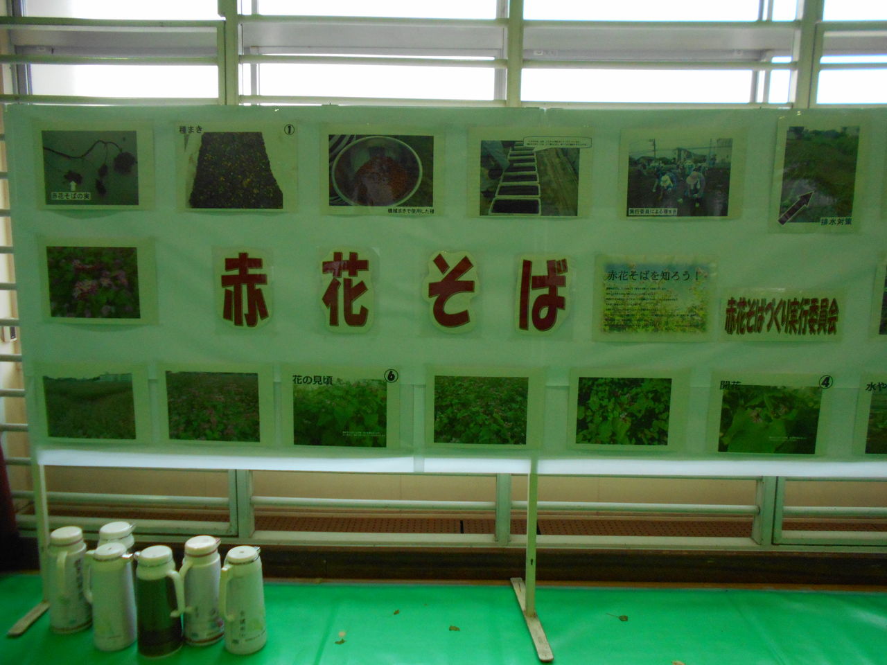 DSCN1095