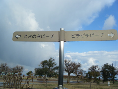 DSCF2071