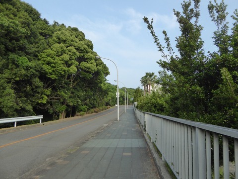 P1030652