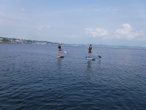 DSCF0340