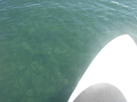 DSCF0291