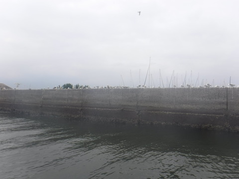 DSCF1709