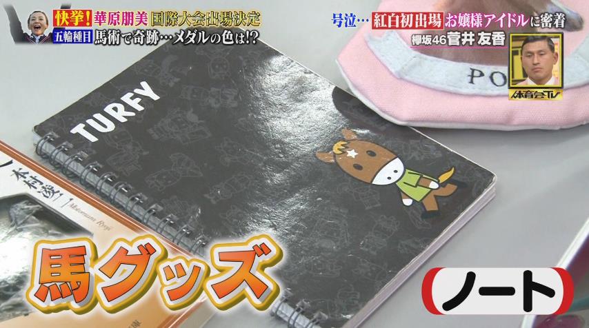 [競馬] 欅坂46の菅井友香の持ち物にターフィーグッズがあった訳だが