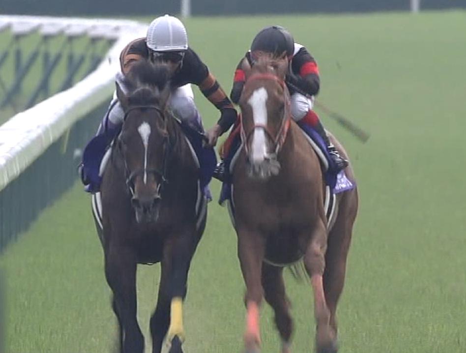 [競馬] キタサンブラック、念願の1番人気へ