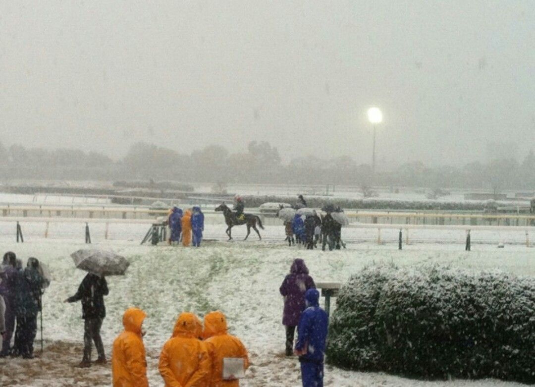 [競馬] 《画像》都内競馬場、雪国になる