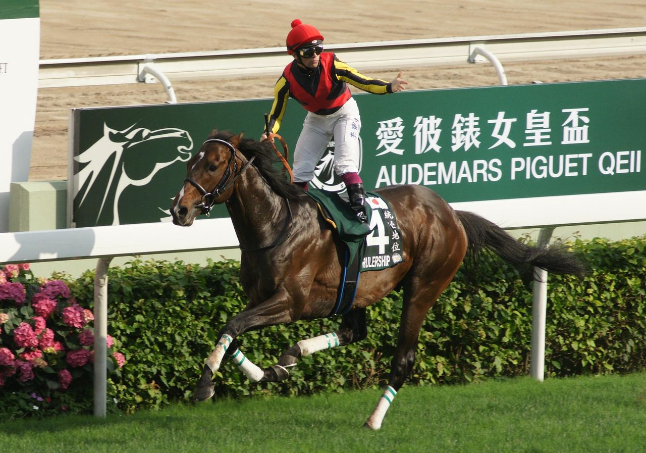 [競馬] ルーラーシップ種付料 250万→300万→600万