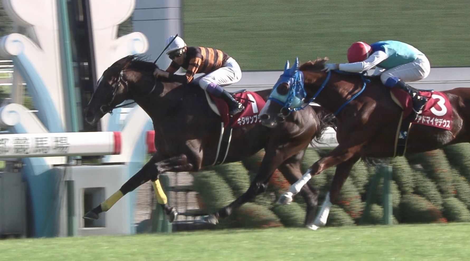 [競馬] 横山典「キタサンブラックなら凱旋門賞も勝てる」