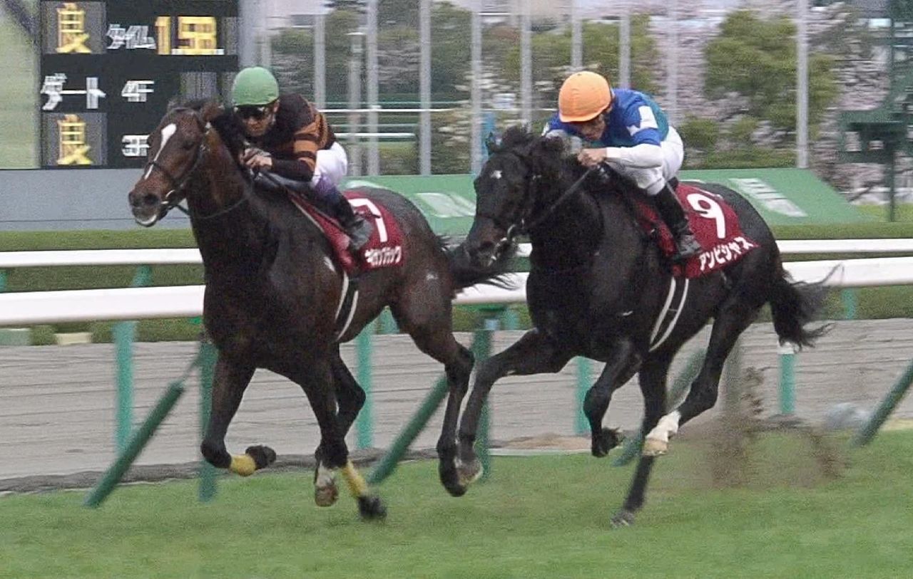 [競馬] 大阪杯(ＧＩ予定)の新レース名