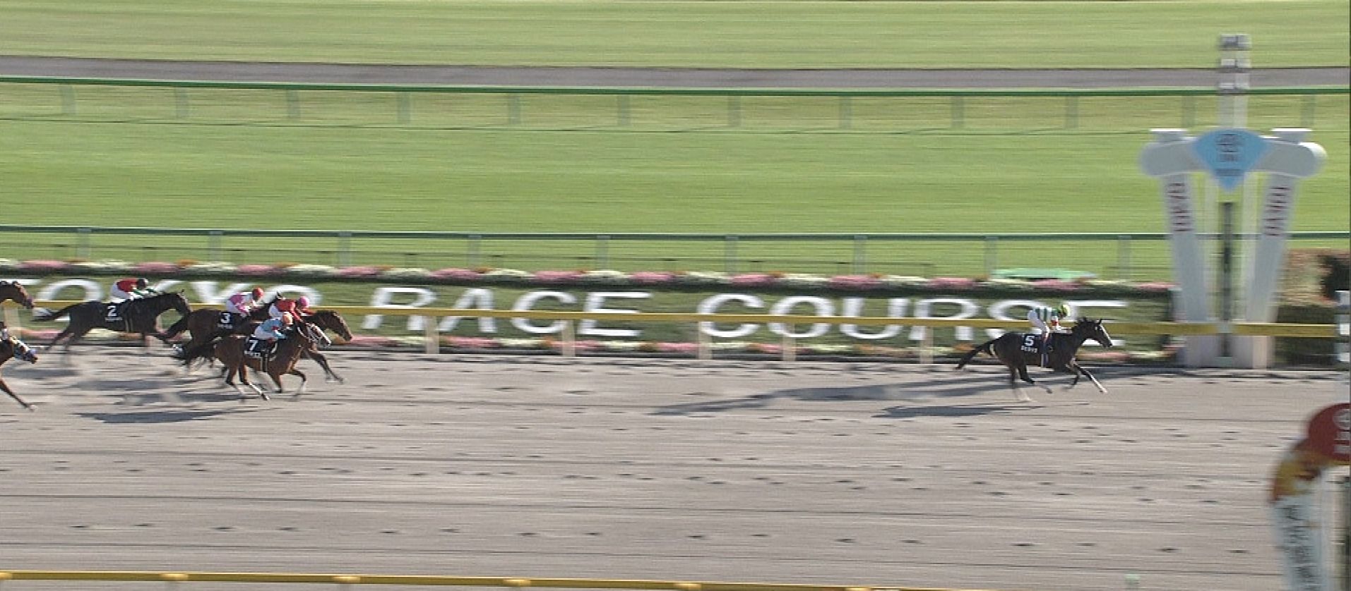 [競馬] 2歳ダート・プラタナス賞 エピカリス強すぎワロタ！！！！！！！！！
