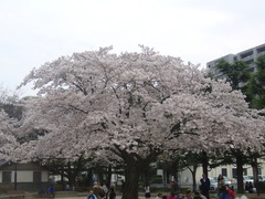P1000860