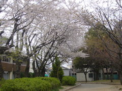 P1000861