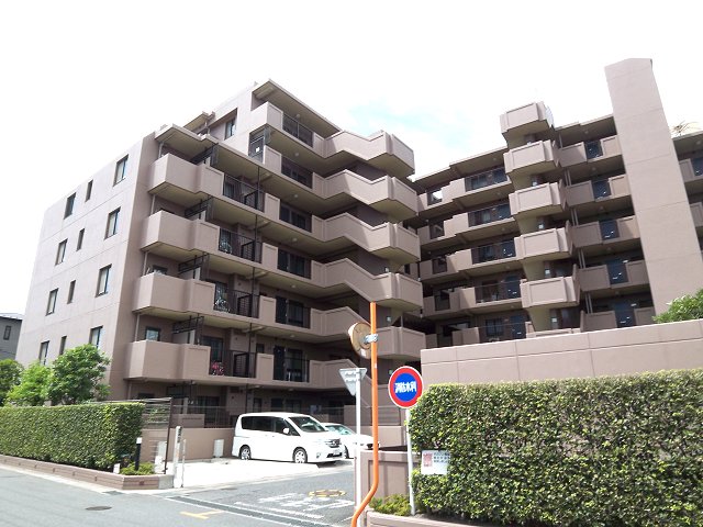 2154037146 セン