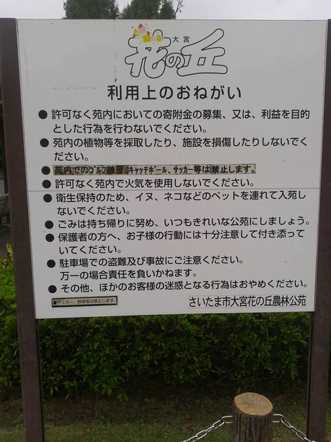 DCIM0577