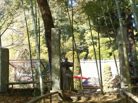 DSCN0342