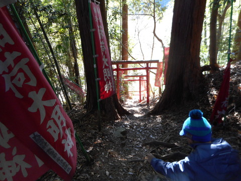 DSCN0329