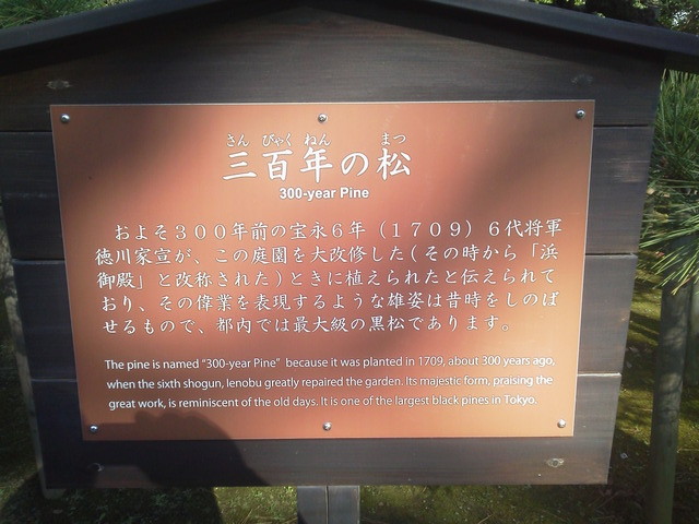 DCIM0948