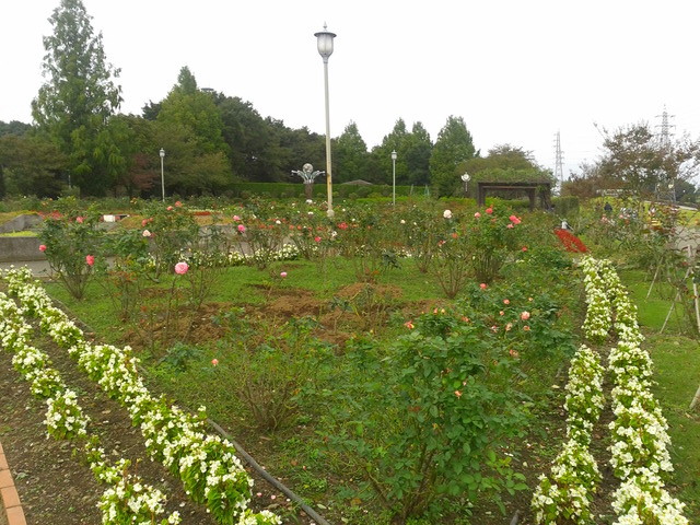 DCIM0583