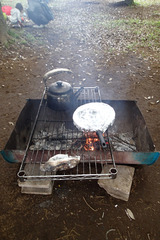 b44da06e.jpg