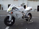 a0da69c5-s.jpg