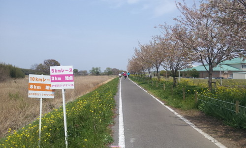 f6d23363.jpg